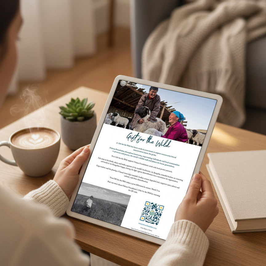 Saxaul trees to regenerate the Mongolian Steppe