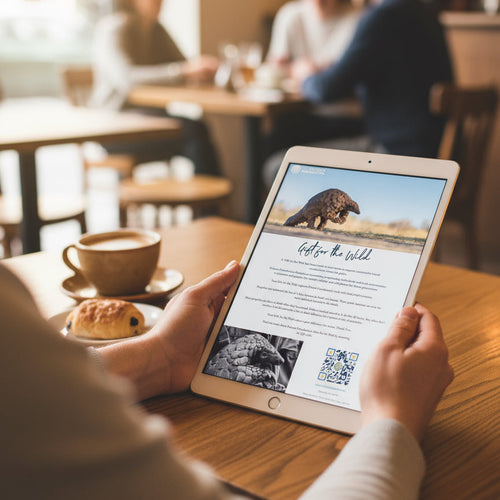 A Vet Kit for Pangolins