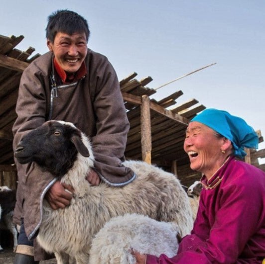 Saxaul trees to regenerate the Mongolian Steppe - Pelorus Foundation Store